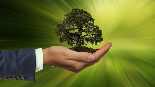 sustainability-3303398_1920